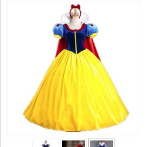 Snow White dress (cosplay)